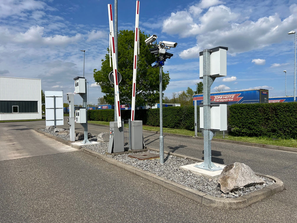 Paari Maskottchen Ameise