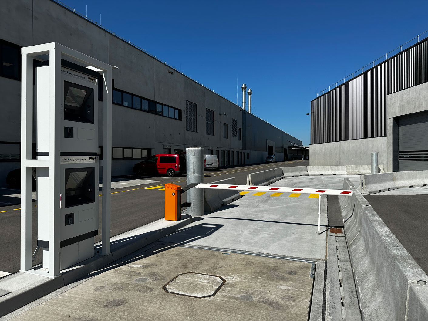 Paari Maskottchen Ameise